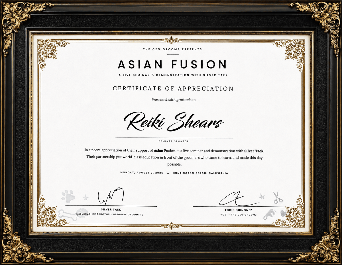 Silver Taek in Los Angeles: Asian Fusion Grooming & What We Learned