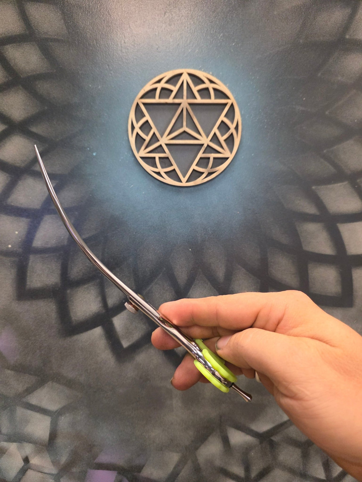 Reiki Shears - 8 "Super Curved Grooming Shears - Reiki Shears